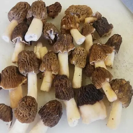 Con Cucina Tipica Nuova Scardua * Cavriana