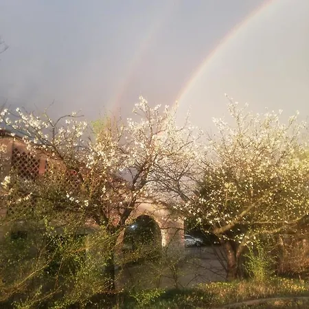 Landhuis Con Cucina Tipica Nuova Scardua *