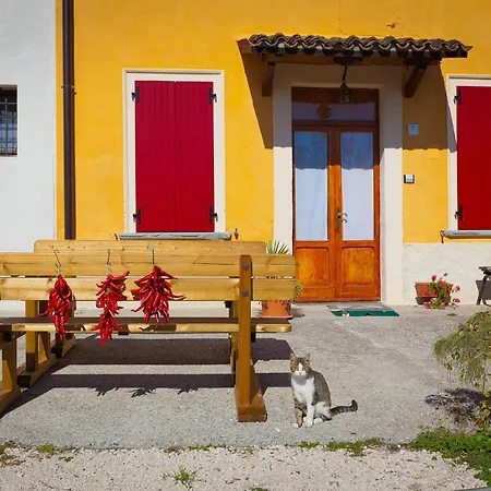 Con Cucina Tipica Nuova Scardua Landhuis